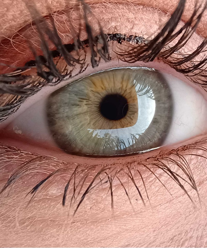 Motorola Moto G55 5G vám pomůže vytvořit dokonalé fotky